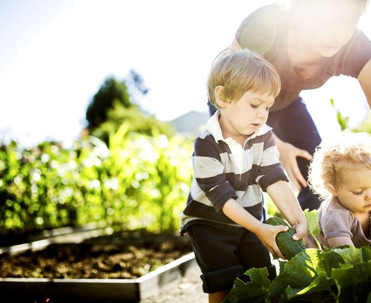 A mother and her two young children picking vegetables in the field