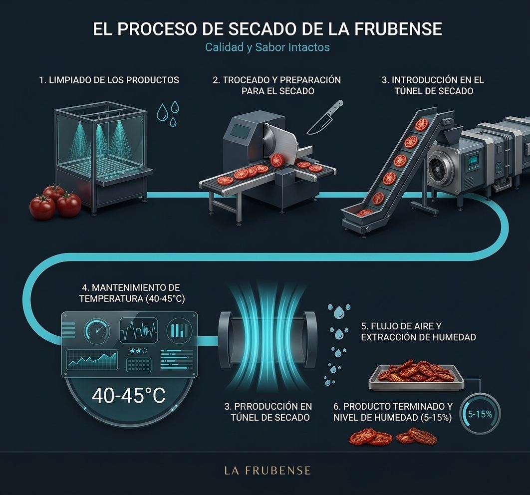 Infographie du procédé de séchage de La Frubense : nettoyage du produit, découpe et préparation, entrée dans le tunnel de séchage, maintien de la température entre 40 et 45 degrés, circulation d'air et extraction de l'humidité, et produit fini entre 5 et 15 % d'humidité.